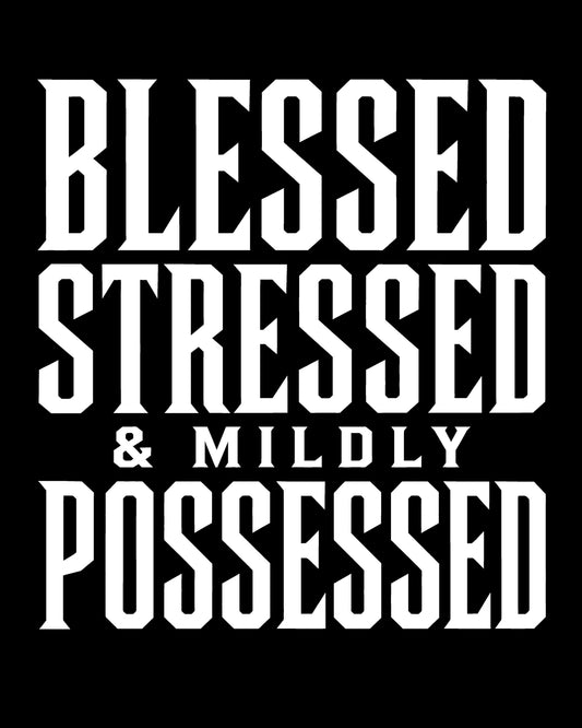 Blessed, Stressed & Mildly Possessed T-Shirt
