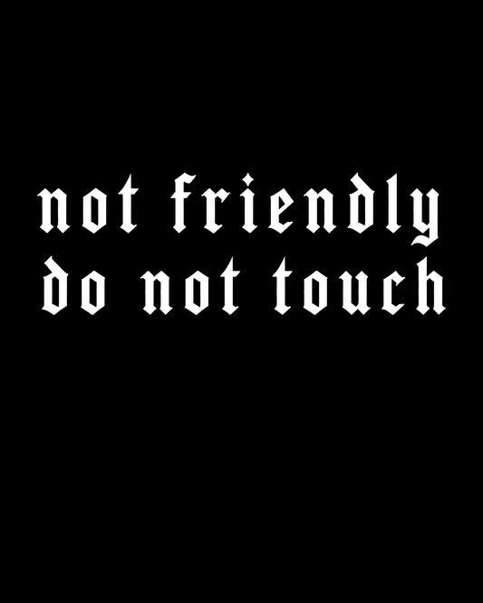Not Friendly Do Not Touch T-Shirt