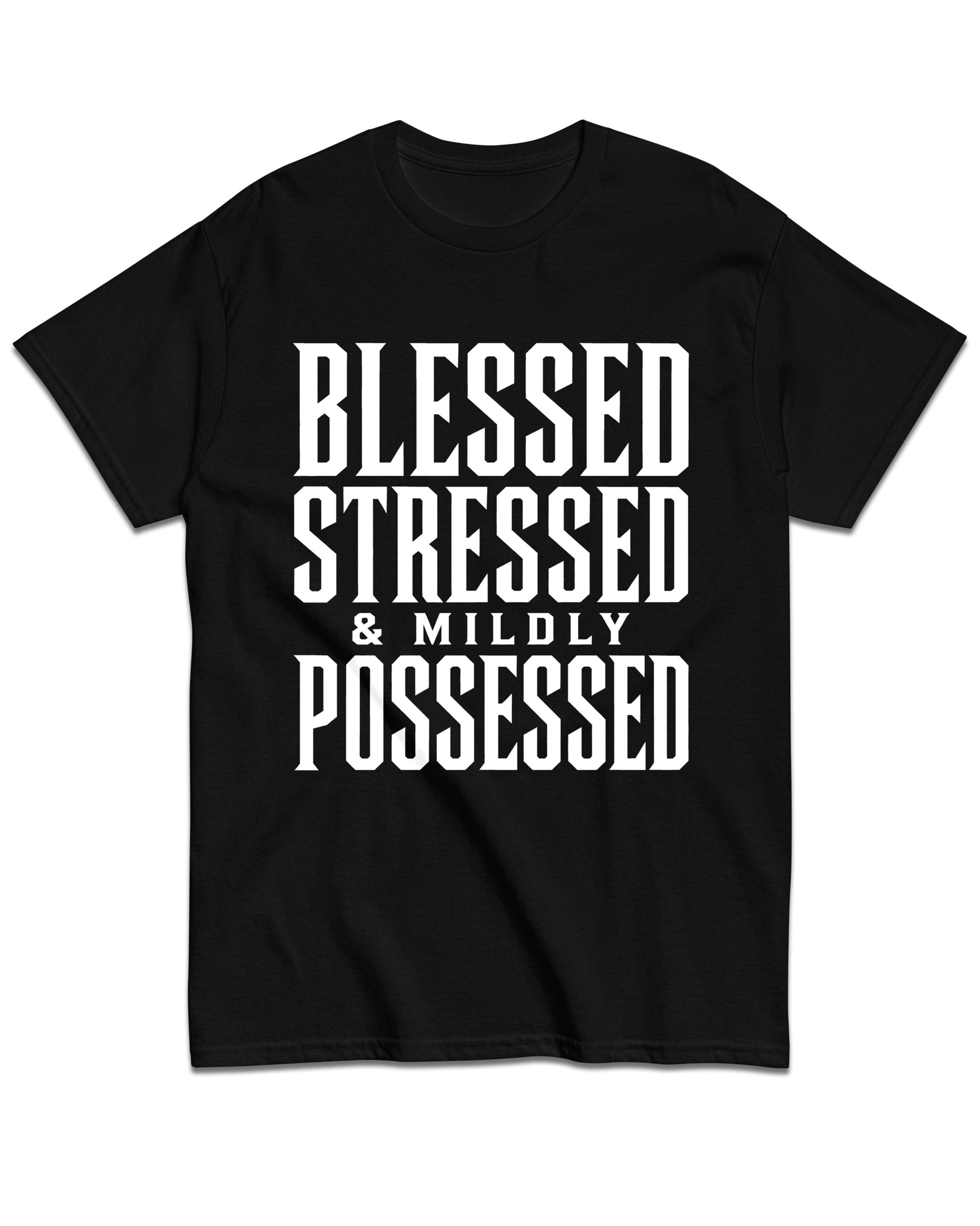 Blessed, Stressed & Mildly Possessed T-Shirt