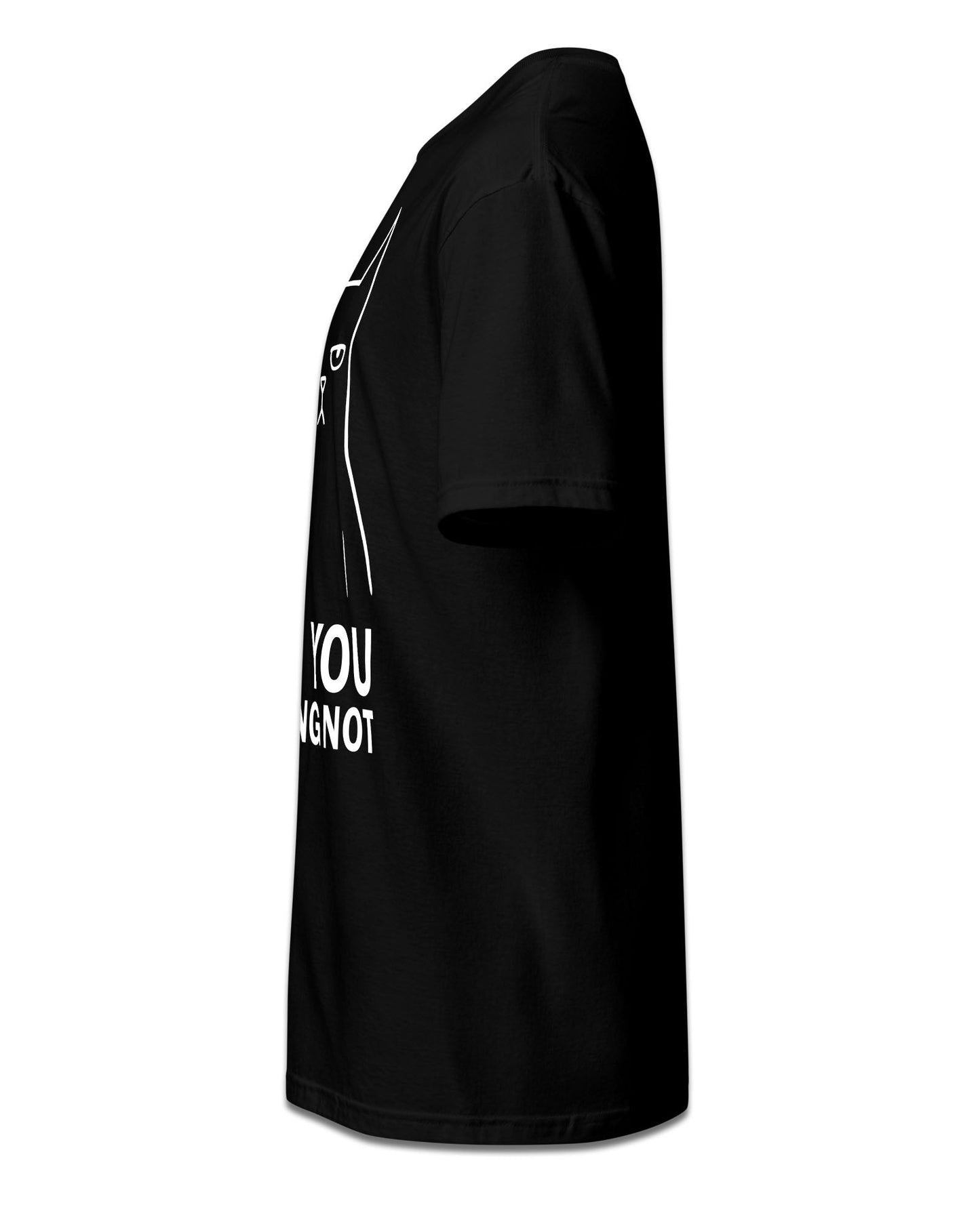 CAN YOU F*CKING NOT T-Shirt