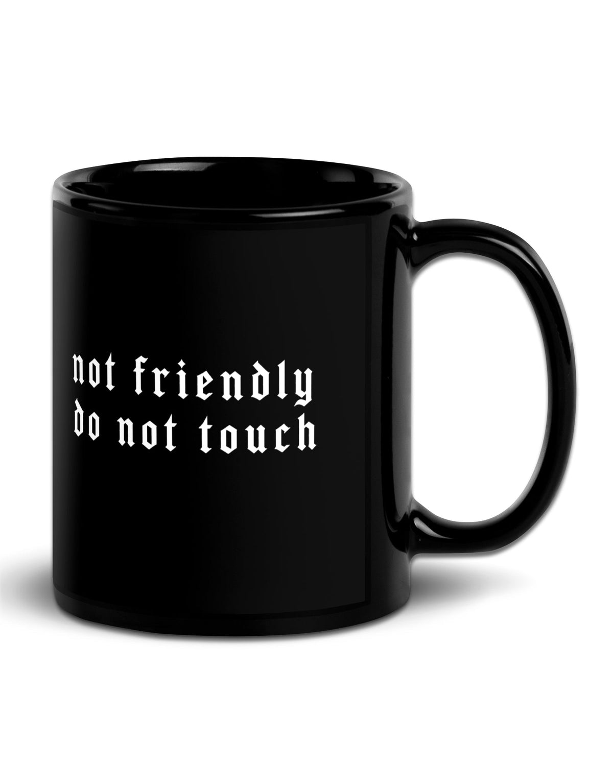Not Friendly Do Not Touch Mug