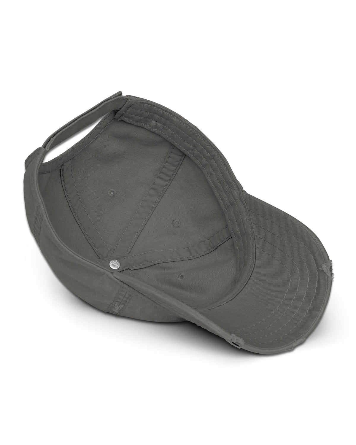 Some Of You Did Not Tell Maria Distressed Dad Hat