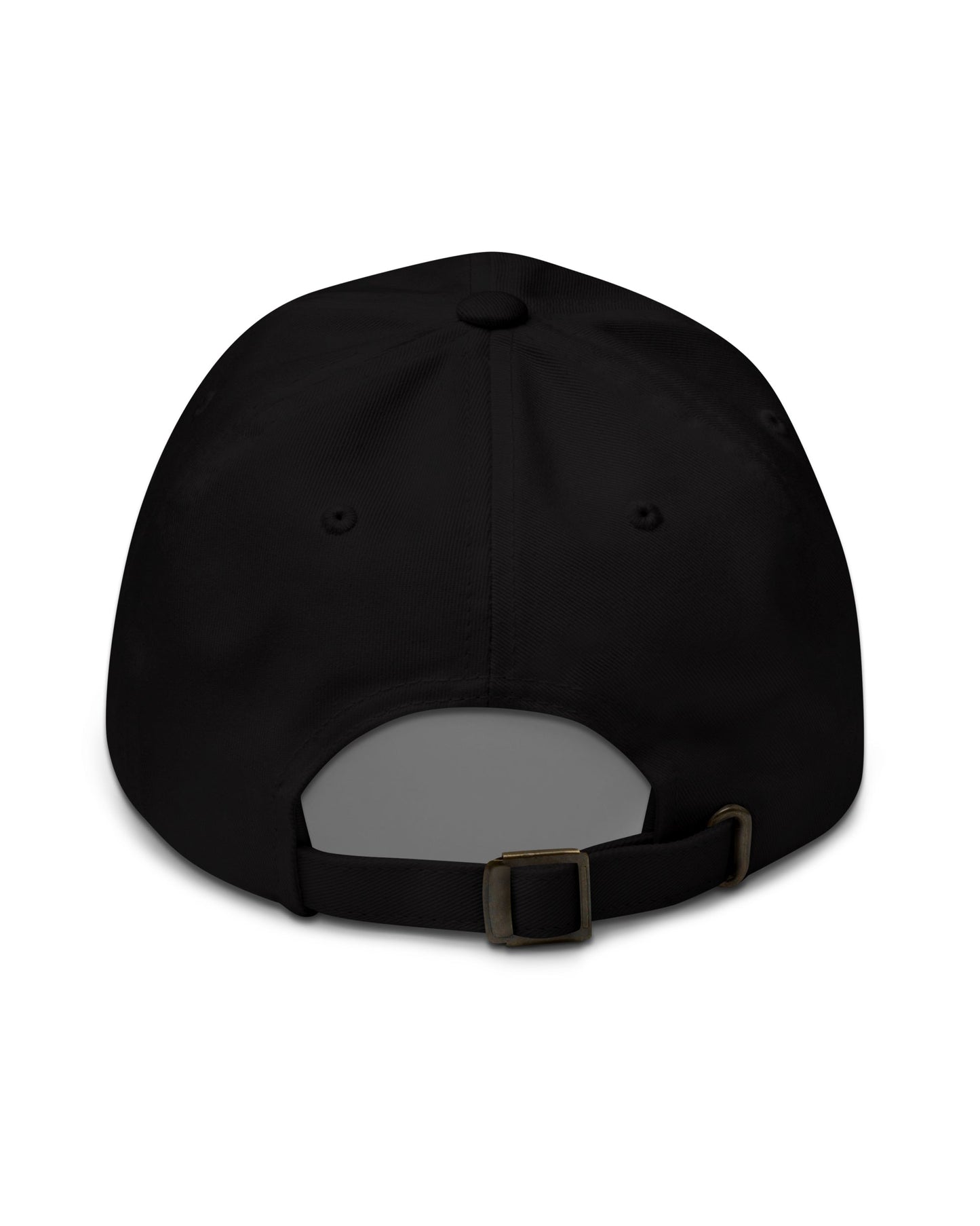 Tattoos Are Stupid Dad Hat